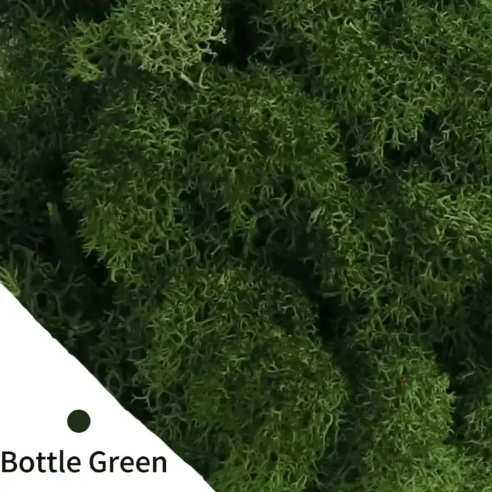 Mousse de vie éternelle, bricolage artisanat, plantes vertes artificielles, décoration de jardin, ma