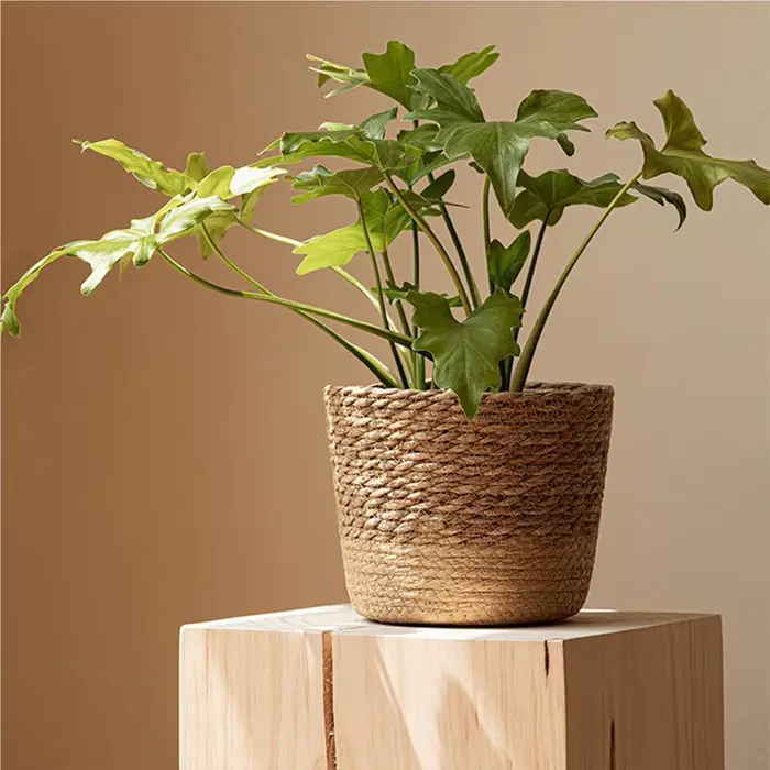 Panier de rangement en rotin tressé pour plantes