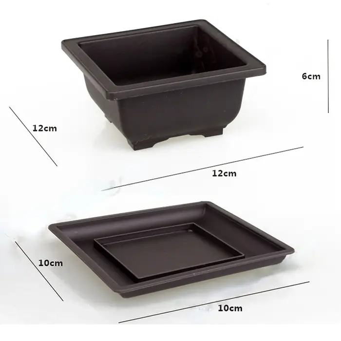 Pots d'entraînement avec escalade Pot de plantes bonsaï en plastique, pots carrés pour fleurs succul