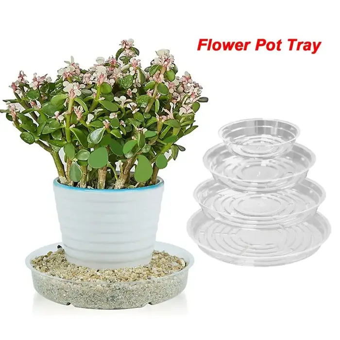 Plateaux en plastique pour plantes d'intérieur