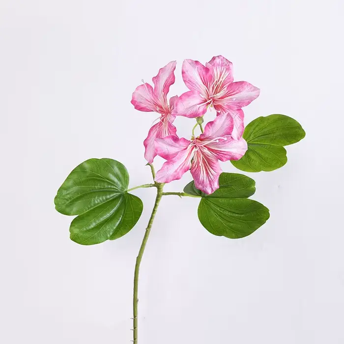 Branche de fleur Bauhinia blanche, décoration de pièce, centre de table d'hôtel, décor d'ornement, a