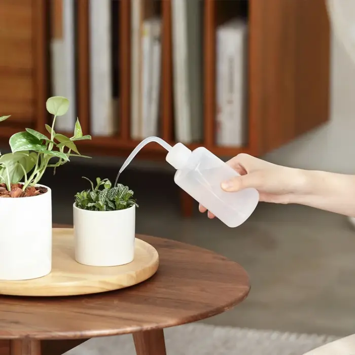 Bouilloire versante à bec d'eau 150/250/500mL, outil pour plantes succulentes, arrosoir de fleurs, bouteilles à presser avec outils de jardinage