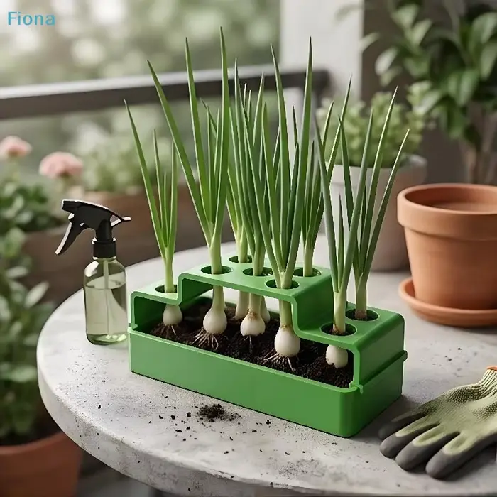 ✔ Jardinière hydroponique pour herbes