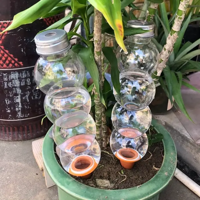Insert de bouteille d'irrigation goutte à goutte pour plantes auto-arrosantes
