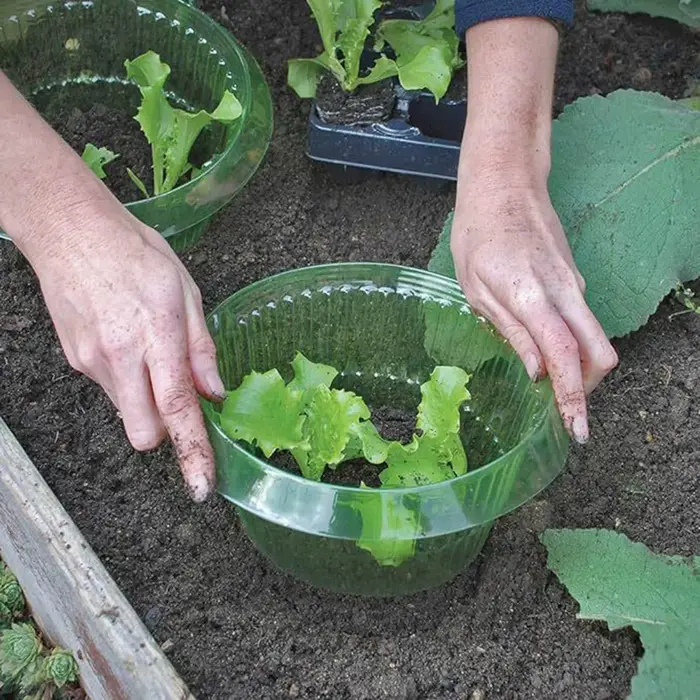 Plantes limace Protection anneaux légumes couverture plante escargot collier garde vert planteur Pot de fleur lutte antiparasitaire trappeur outil de jardin