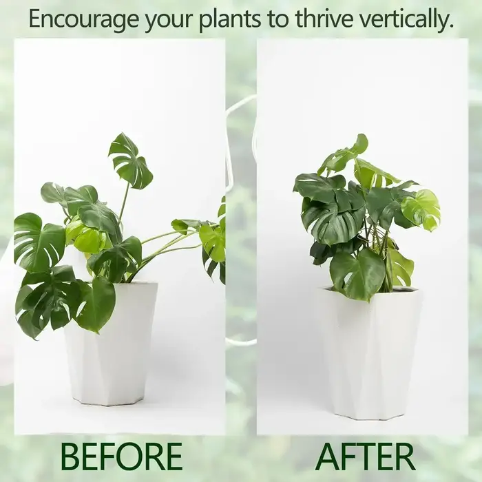 Poteau de support de plante en forme de Monstera