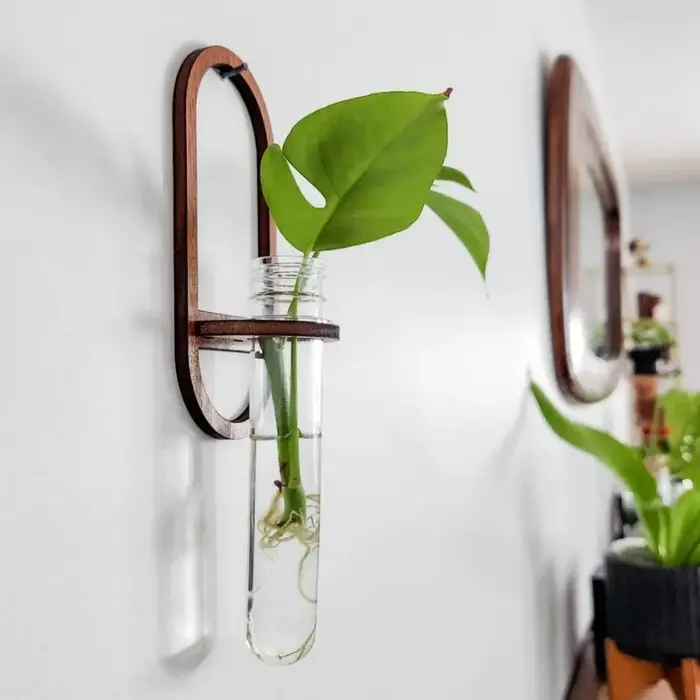 Support mural en bois pour plantes hydroponiques