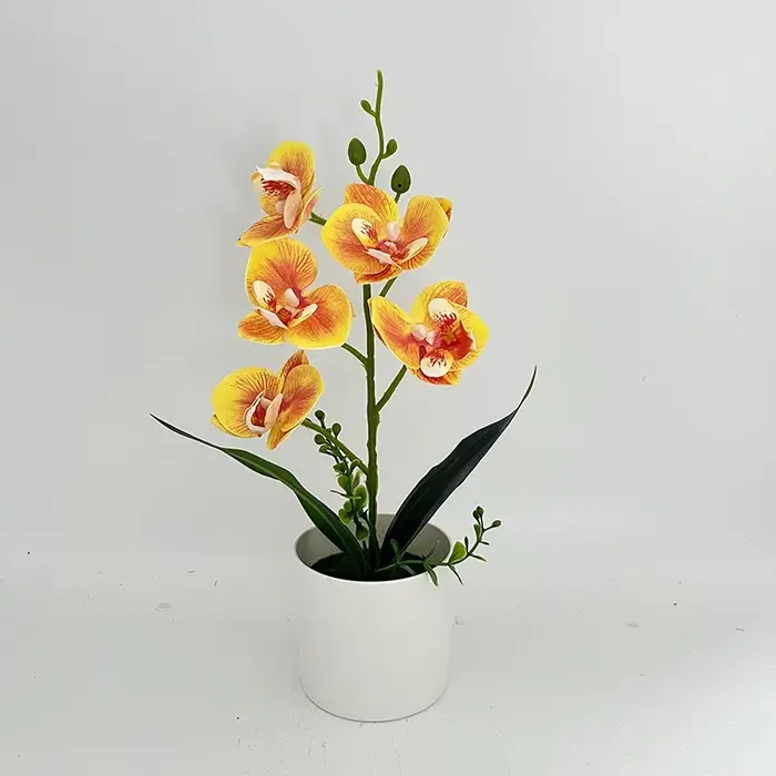 Simulation de 5 fleurs, orchidée papillon, plantes en pot, décoration de salle de mariage, fausse fl