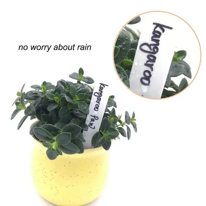 100 étiquettes de jardin en plastique pour plantes