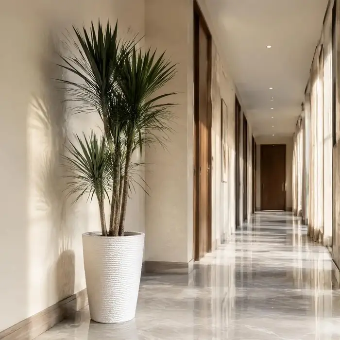 Support de plante décoratif texturé moderne, jardinière ronde haute pour plantes d'intérieur et d'extérieur, pot de fleurs rond à l'aspect pierre pour intérieur.