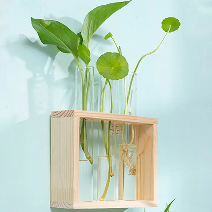 Conteneur de plantes hydroponiques avec cadre en bois