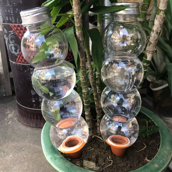 Système d'arrosage automatique pour plantes