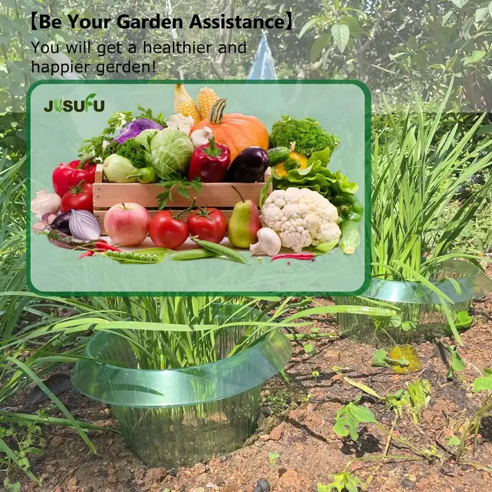 1/30 pièces Anneaux de protection anti-légionnaires pour plantes