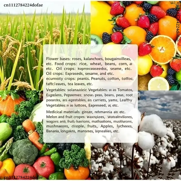 6-BA 6-Benzylaminopurine Cytokinine en poudre, régulateur de croissance des plantes, favorise la germination et la division cellulaire
