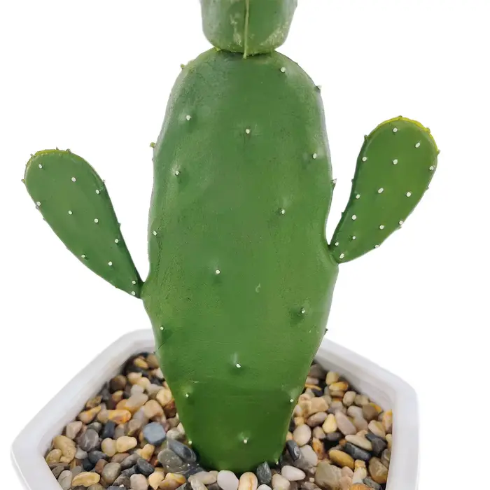 Grandes Plantes Artificielles Pantum Succulentes avec Pierre et Pot de Fleur en Céramique