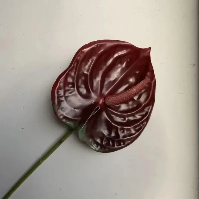 Fleur artificielle impression 3D petite taille simple Anthurium Andraeanum Lind Guanyin Lotus maison mariage conception