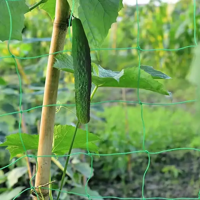 Filet de treillis flexible à 9 brins pour plantes grimpantes
