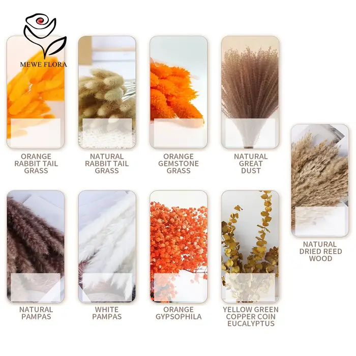 Ensemble de Bouquet de Fleurs Naturelles vaccées