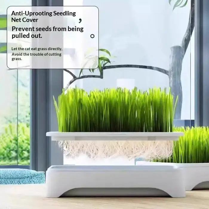 Pot de culture hydroponique pour herbe à chat, culture sans terre, pour semis de blé, dispositif hydroponique pour chatons, pot de plantation horticole