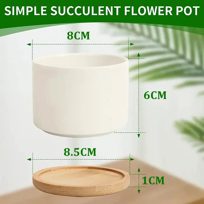 Jardinière succulente petit Pot