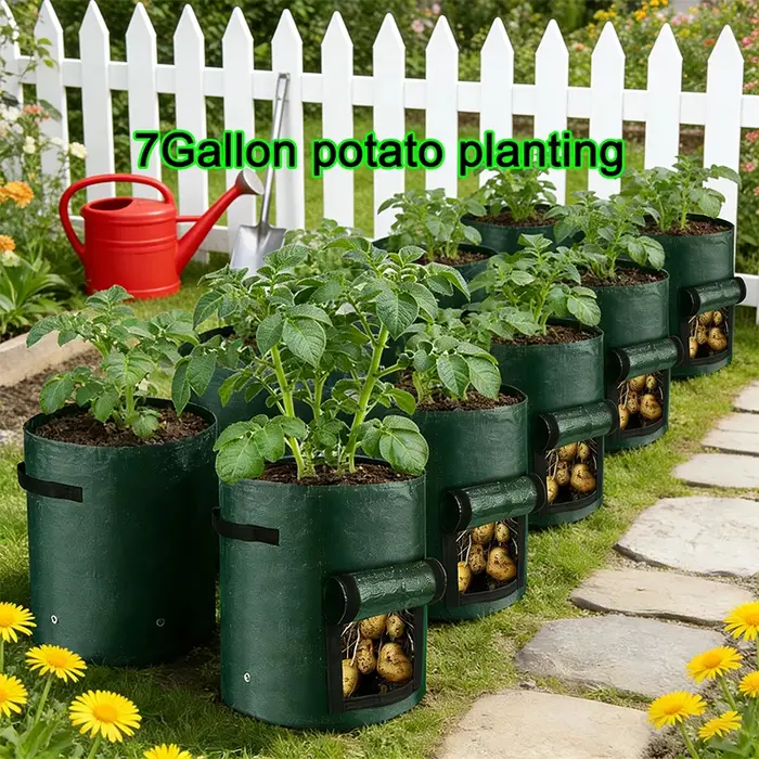 Sac de culture rond en PE vert foncé respirant pour plantes