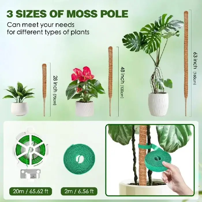 Support de grimpement pliable en mousse de coco de 30-100 cm pour plantes grimpantes d'intérieur