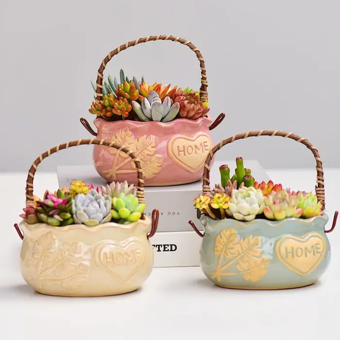 Jardinière succulente en céramique résistante à la Corrosion
