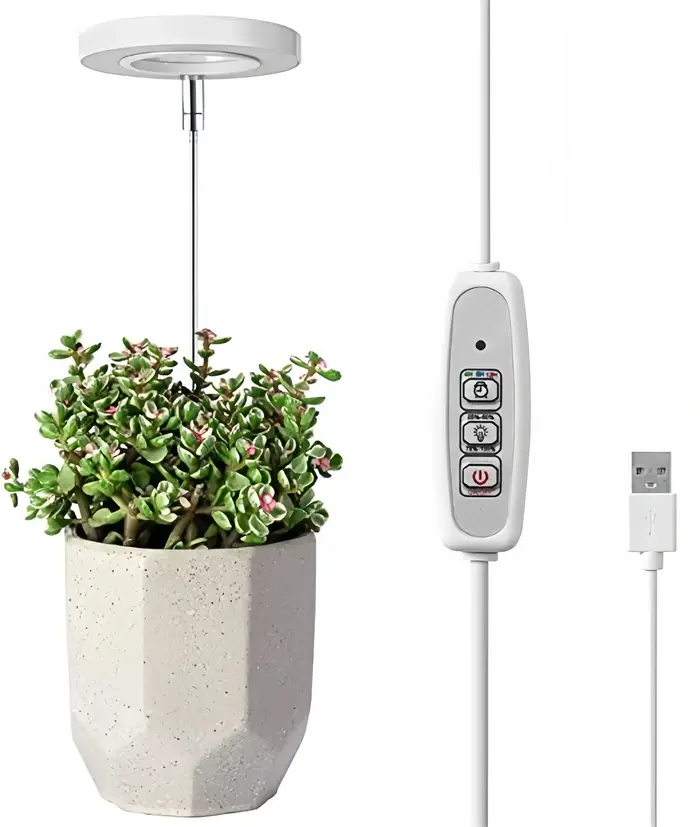 Lampe de culture pour plantes