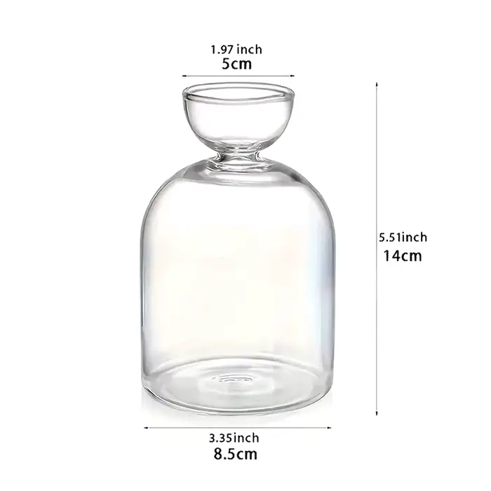 Vase hydroponique transparent en verre pour semis d'avocat, conteneur de culture pour les amateurs d