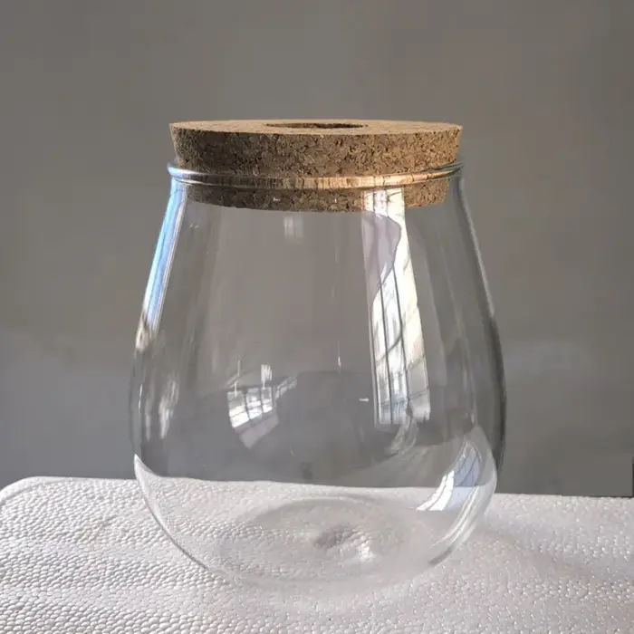 Pot de fleurs hydroponique transparent en verre avec plateau en bois, station de propagation de plan