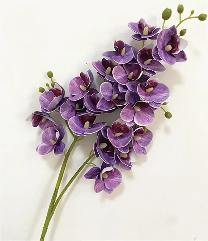 Fleurs d'orchidées papillon en Latex, 21 têtes, Mini orchidée Phalaenopsis artificielle au toucher r