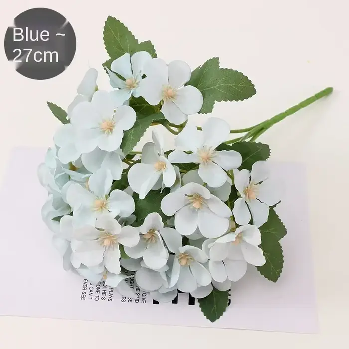 Bégonia fleur fleur sèche gaufrage plante spécimen fleurs séchées gaufrage botanique spécimen bricolage manuel décoration pétale bougies