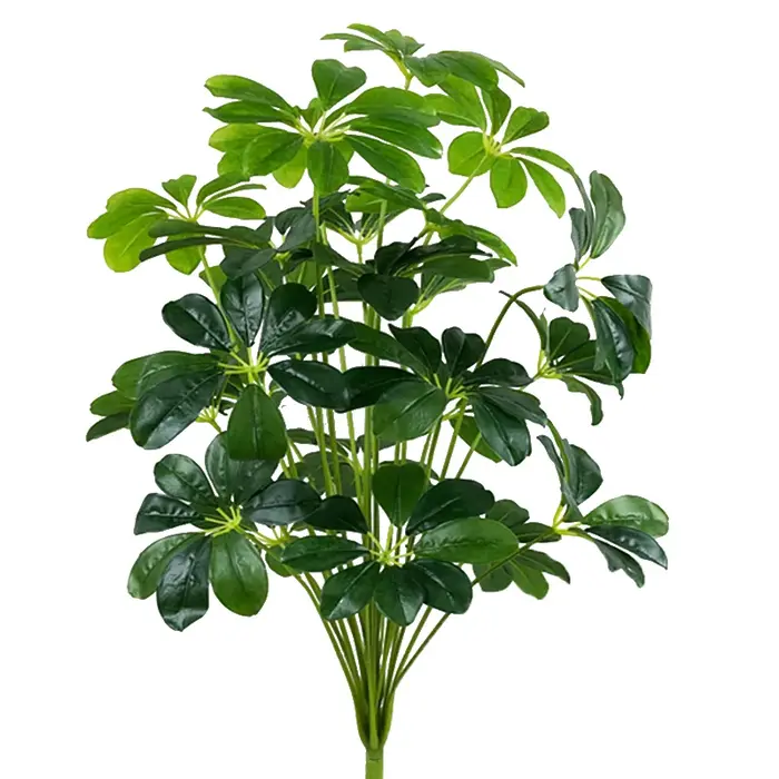 Plantes vertes artificielles