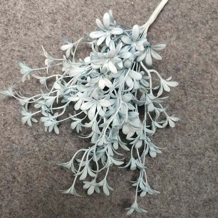 Simulation de fleur, petit rêve