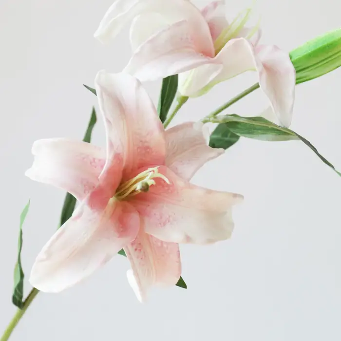 Fleurs de lys artificielles hydratantes en PU