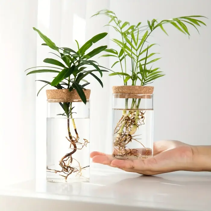 1pc, Vase de jardinière en verre de bureau pour plantes hydroponiques pour la décoration de la maison