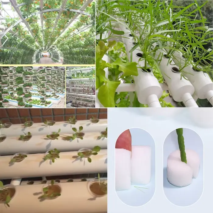 Filet en maille hydroponique sans sol, 50 pièces, panier pour plantes, légumes, tasse de pépinière, 