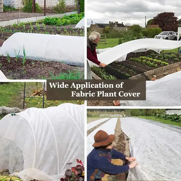 Couvertures flottantes DIY pour plantes