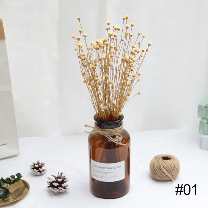 250 pièces vraie fleur sèche fleurs séchées naturelles photographie décorative décor à la maison Pho