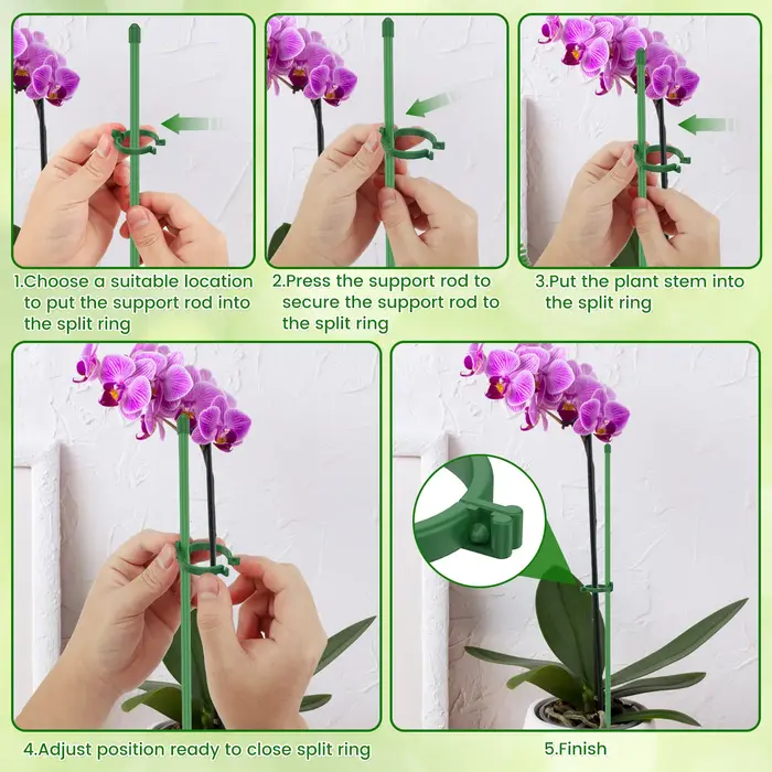 Piquets de Support pour plantes