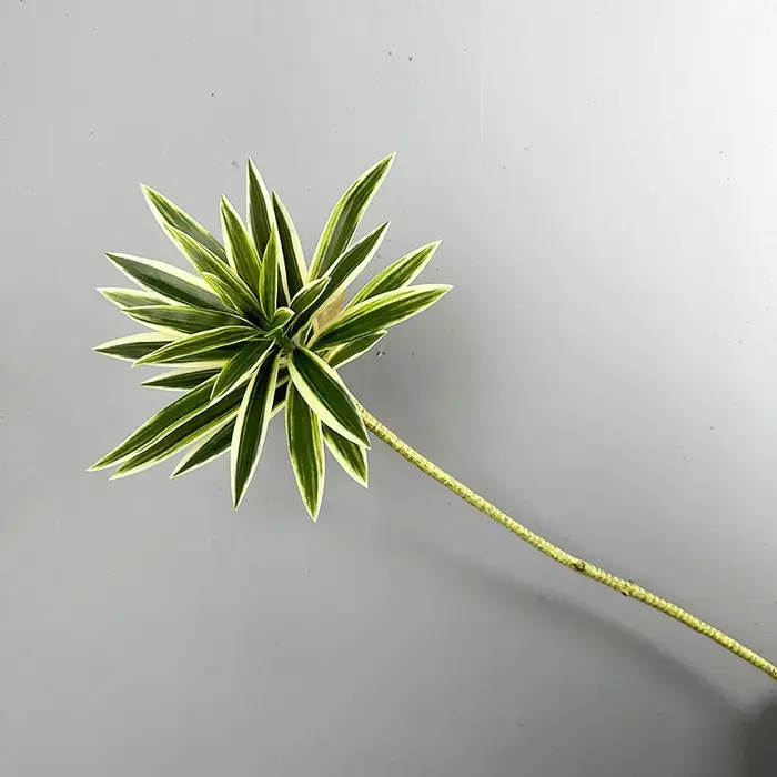 Plantes artificielles en bambou, lys artificiels au toucher réel, pour la maison, mariage, décoratio