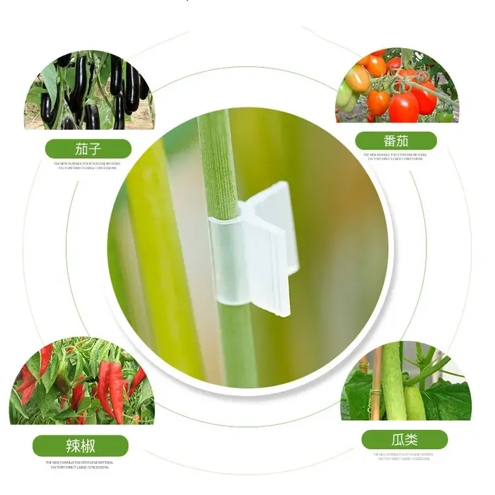 Clips de greffage de plantes