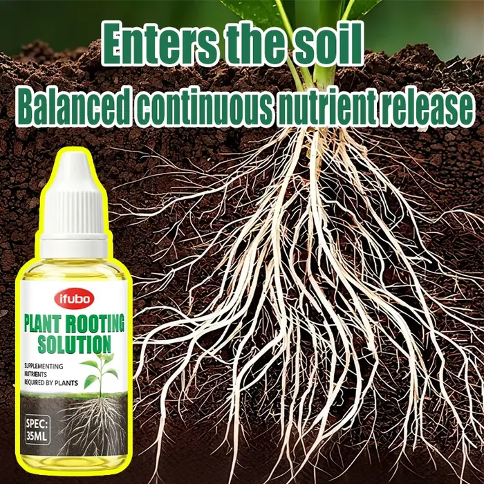 Solution nutritive pour l'enracinement des plantes