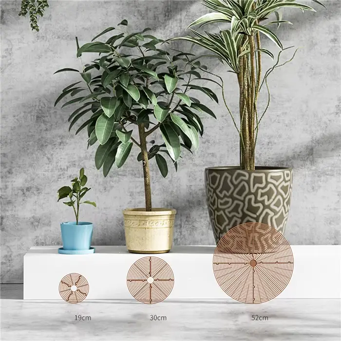 1PC Pot de plante garde de sol avec clous Pot