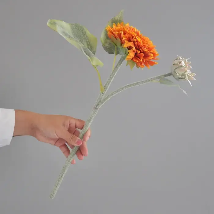 Tournesol Artificiel Thousand Story