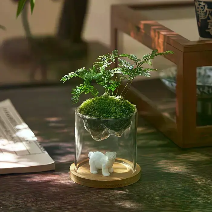 Terrarium en verre pour vues sur les montagnes