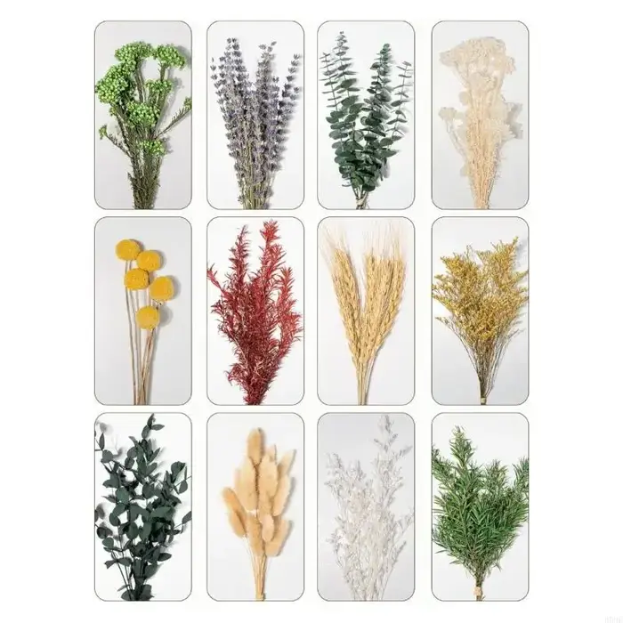 Bouquet fleurs naturelles préservées