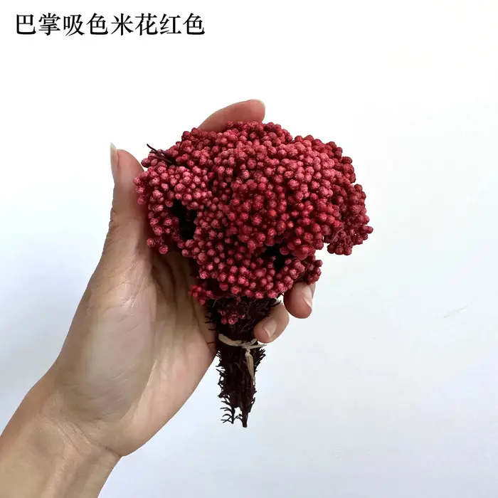 Fleurs de riz séchées naturelles