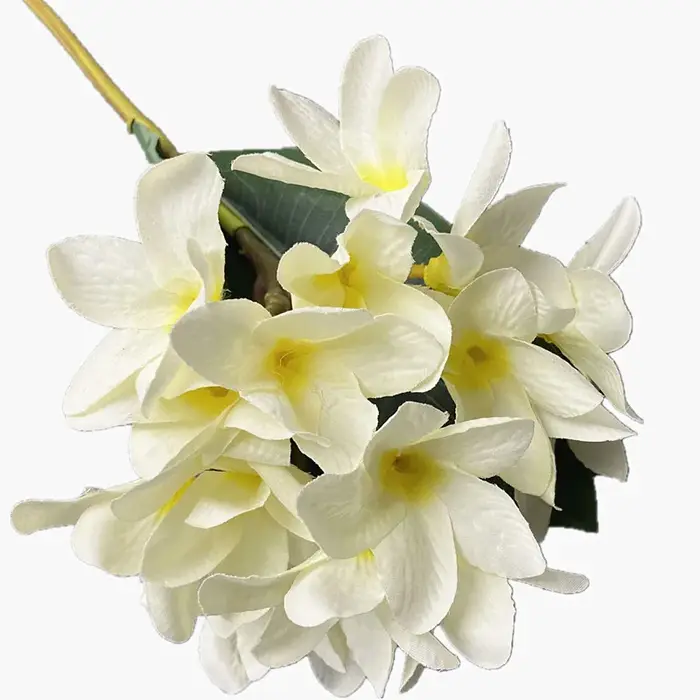Une branche de fleur Frangipanier en soie avec feuilles vertes Plumeria Rubra fleur Frangipani blanche