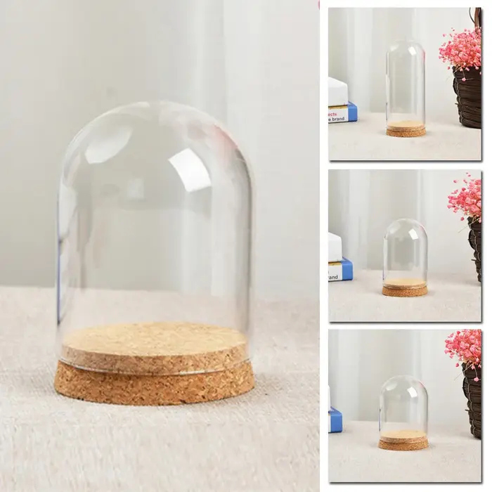 Couvercle de dôme en verre pour plantes succulentes